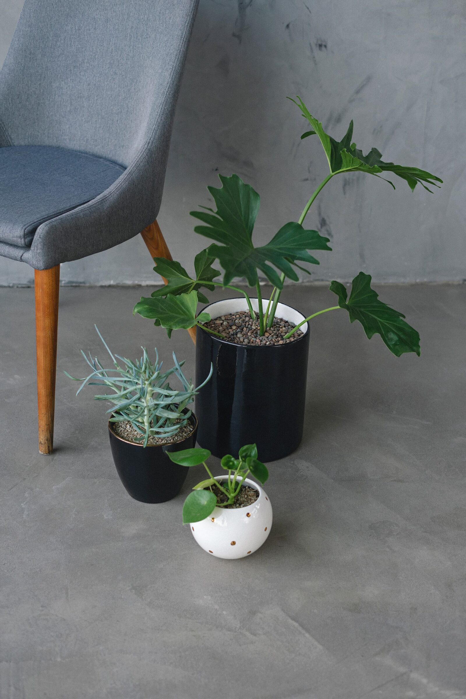 Vivo Suculenta / Inna - Valentina Godoy Photography