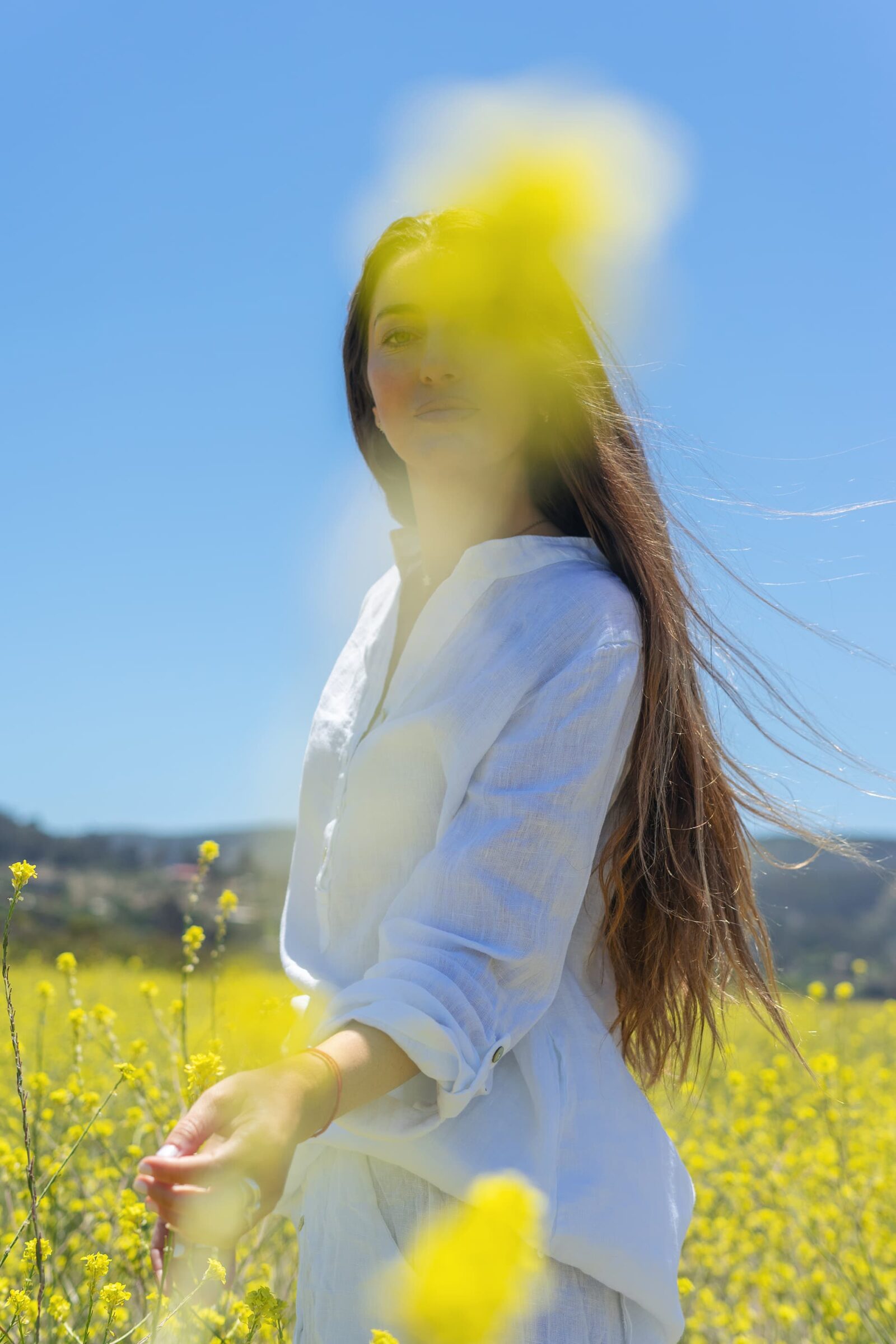 Vivo Suculenta / Tunquén - Valentina Godoy Photography