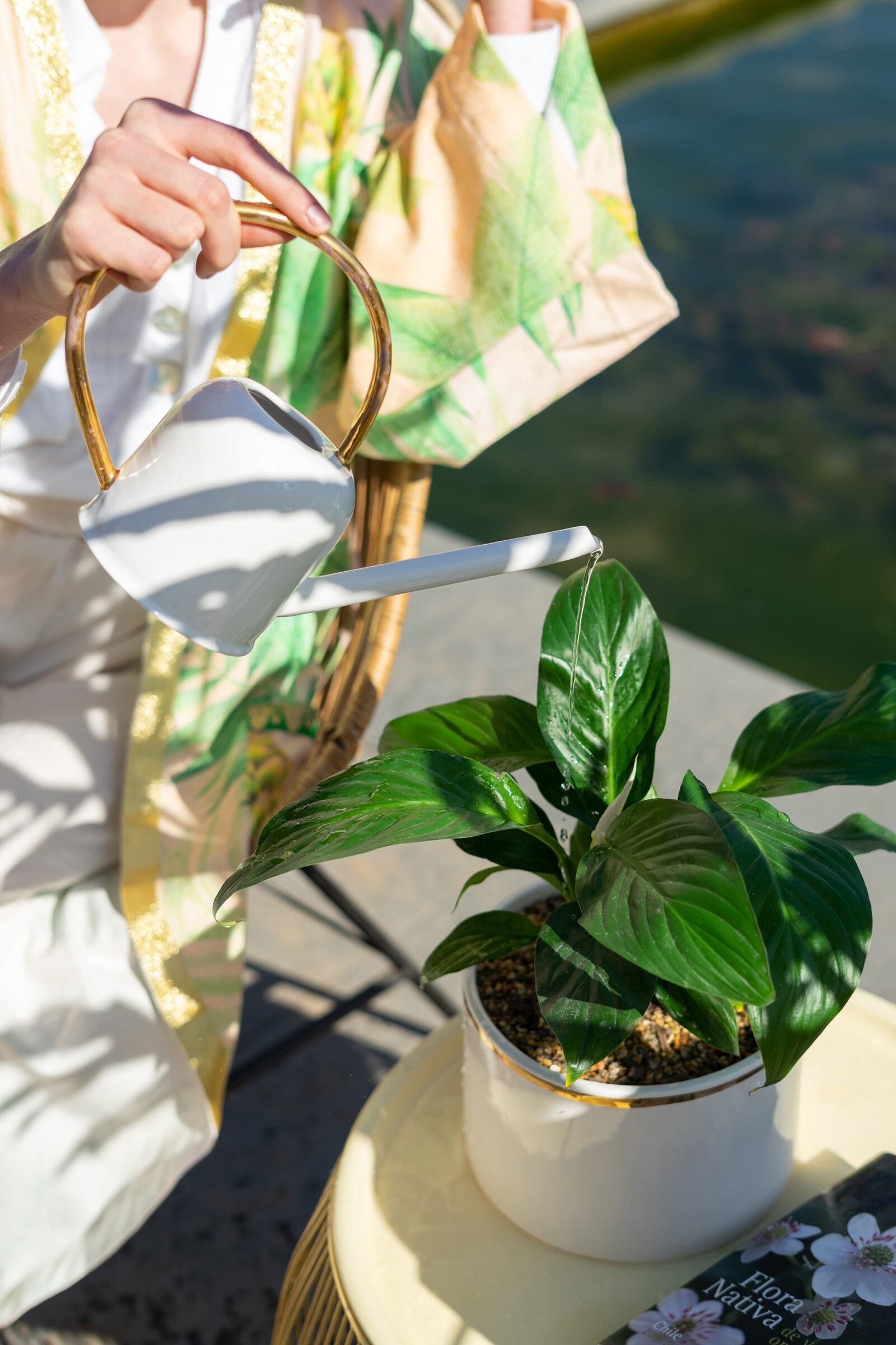 Vivo Suculenta / Vitacura - Valentina Godoy Photography